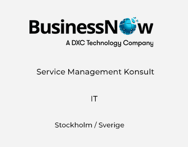 Service Management Konsult