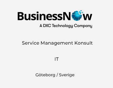 Service Management Konsult