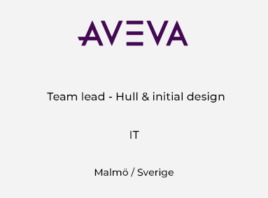 Team lead – Hull & Initial Design