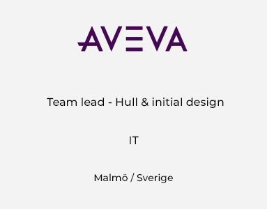 Team lead – Hull & Initial Design
