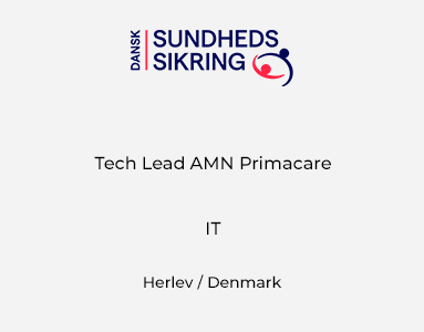 Tech Lead AMN Primacare